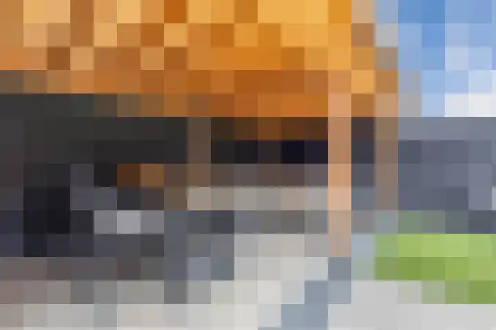 Dobbehôf 15 Menaam thumbnail 41