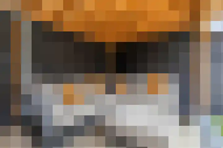 Dobbehôf 15 Menaam thumbnail 42