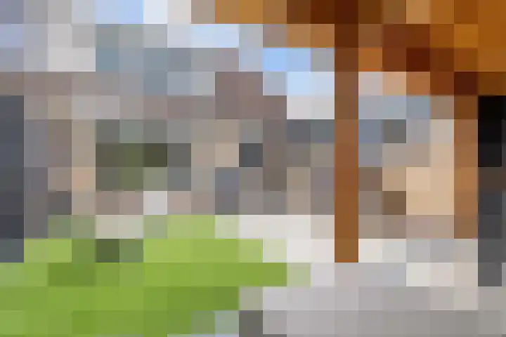 Dobbehôf 15 Menaam thumbnail 43