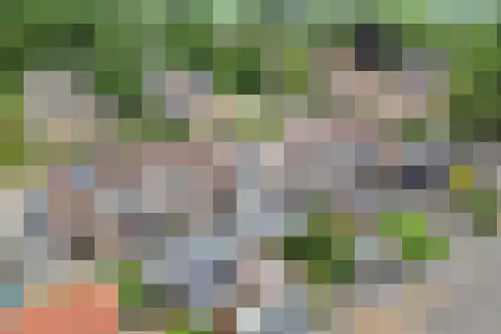 Dobbehôf 15 Menaam thumbnail 45