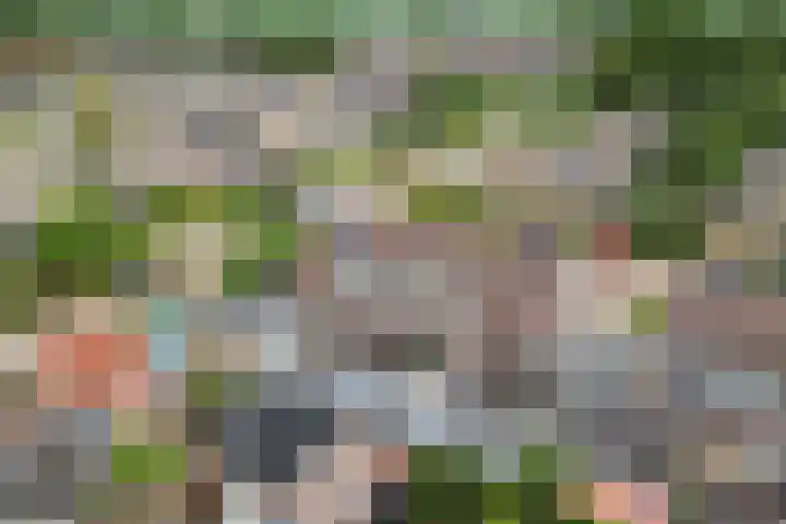 Dobbehôf 15 Menaam thumbnail 46