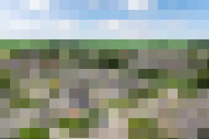 Dobbehôf 15 Menaam thumbnail 47