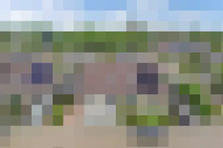Dobbehôf 15 Menaam thumbnail 7