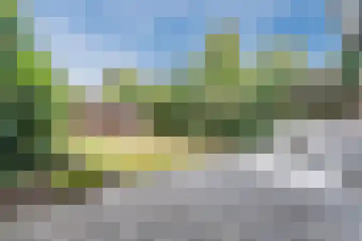 Dobbenwal 136 Assen thumbnail 21