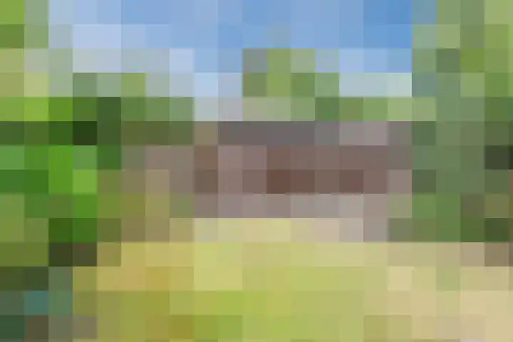 Dobbenwal 136 Assen thumbnail 22