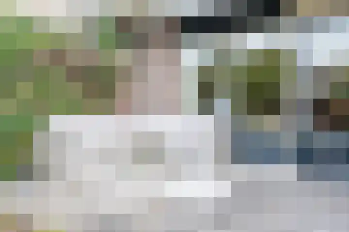 Dobbenwal 136 Assen thumbnail 23