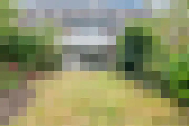 Dobbenwal 136 Assen thumbnail 24