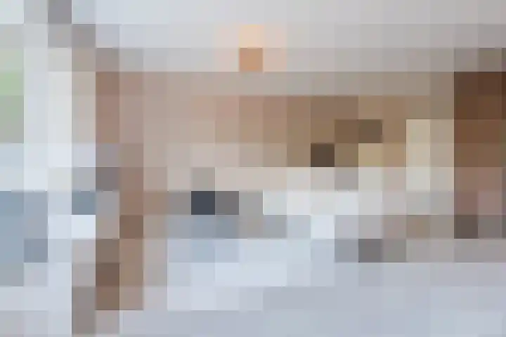Dobbenwal 136 Assen thumbnail 6