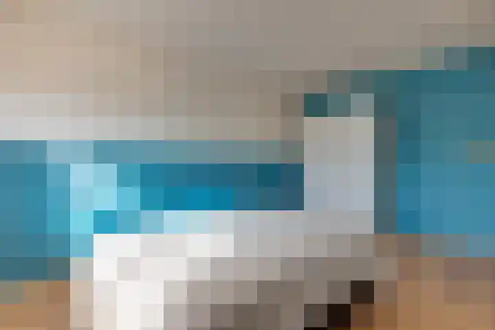 Dobbenwal 61 Assen thumbnail 18