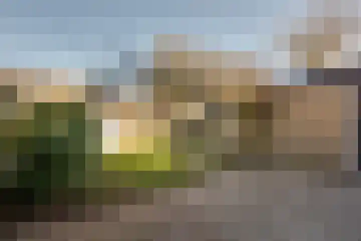 Dobbenwal 61 Assen thumbnail 28
