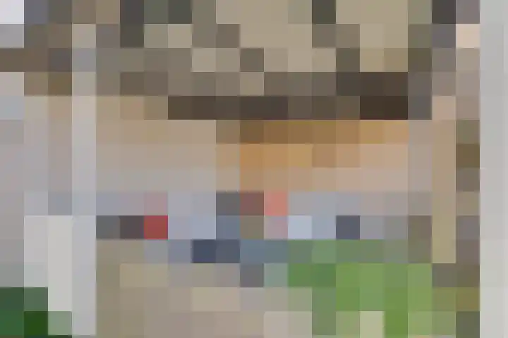 Dobbenwal 61 Assen thumbnail 30