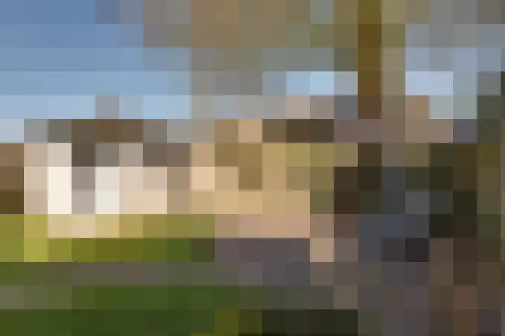 Dobbenwal 61 Assen thumbnail 32