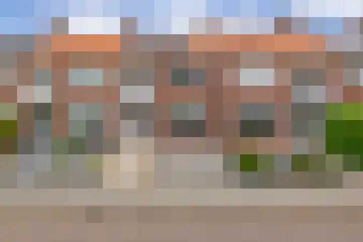 Doctor Ariënslaan 98 in Zevenbergen