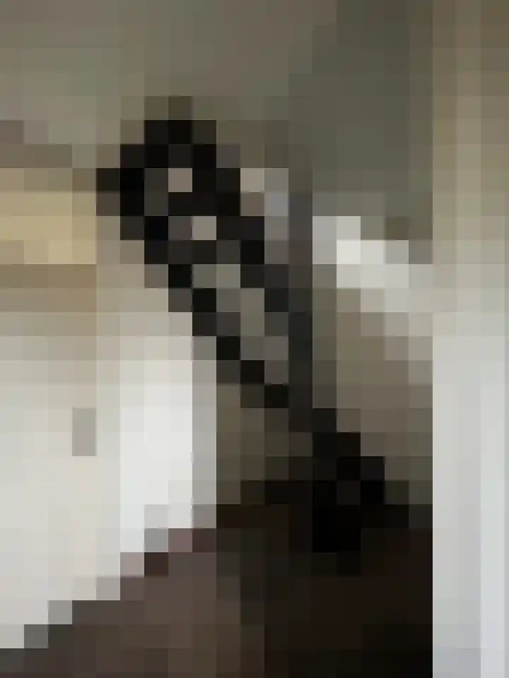 Doctor Dreesstraat 34 Silvolde thumbnail 14