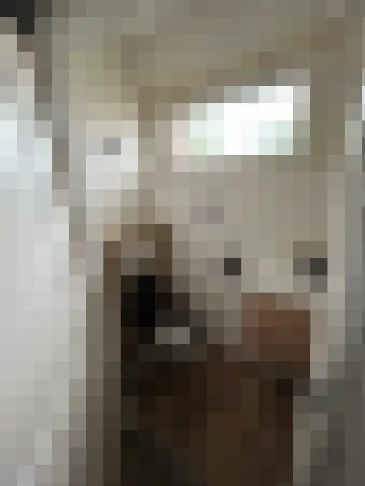 Doctor Dreesstraat 34 Silvolde thumbnail 15