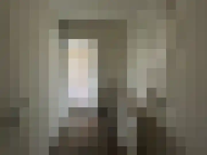Doctor Dreesstraat 34 Silvolde thumbnail 9