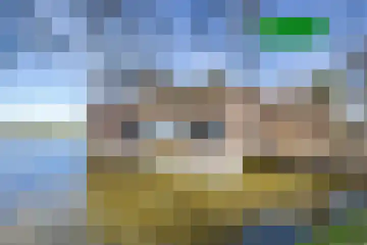 Dodaarsoever 13 Den Haag thumbnail 10