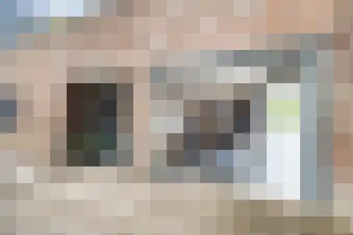 Dodaarsoever 13 Den Haag thumbnail 12
