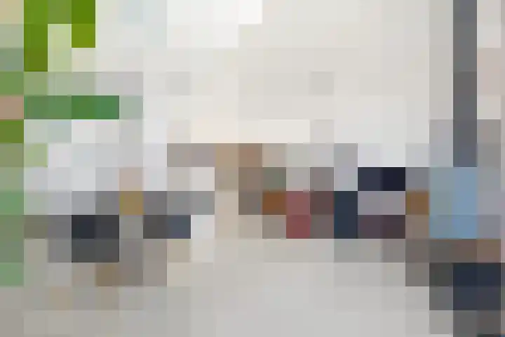 Dodaarsoever 13 Den Haag thumbnail 19