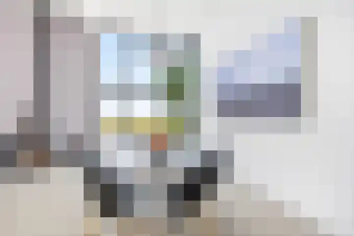 Dodaarsoever 13 Den Haag thumbnail 22