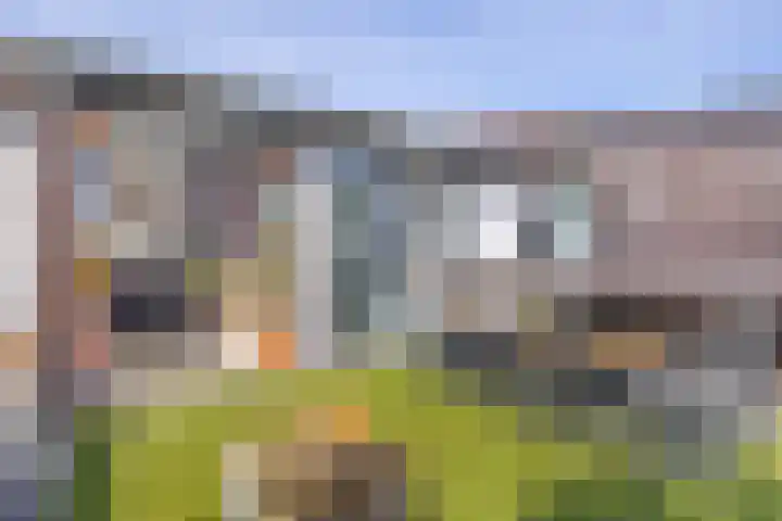 Dodaarsoever 13 Den Haag thumbnail 33
