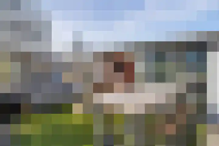 Dodaarsoever 13 Den Haag thumbnail 34