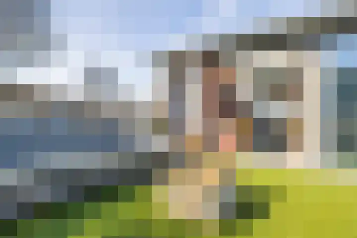 Dodaarsoever 13 Den Haag thumbnail 35