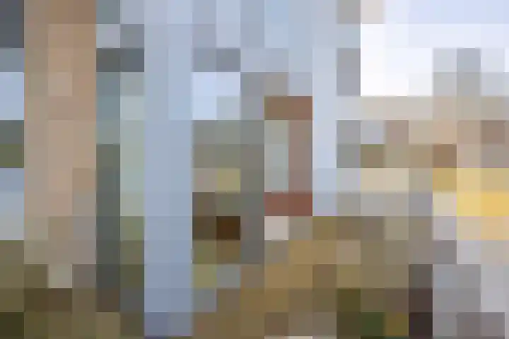 Dodaarsoever 13 Den Haag thumbnail 43
