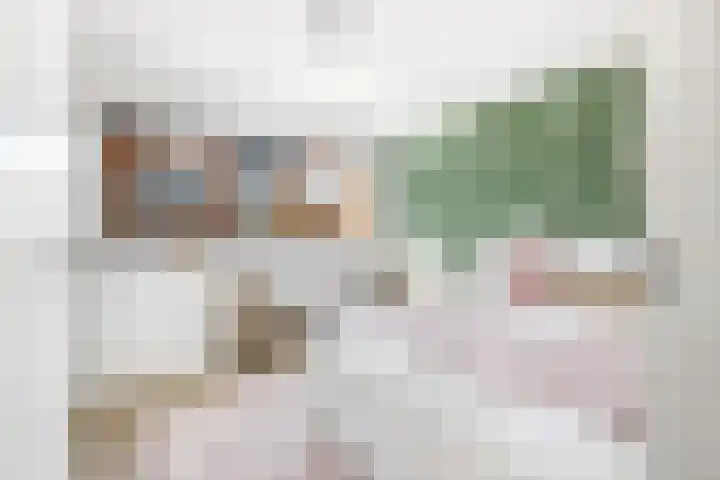 Dodaarsoever 13 Den Haag thumbnail 46