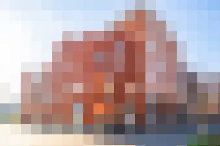 Dodaarsoever 13 Den Haag thumbnail 48