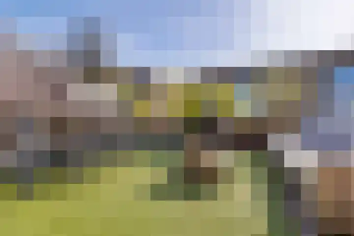 Dodaarsoever 13 Den Haag thumbnail 5