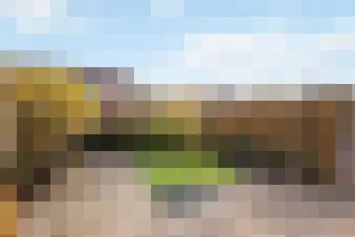 Doddegras 18 Borne thumbnail 19