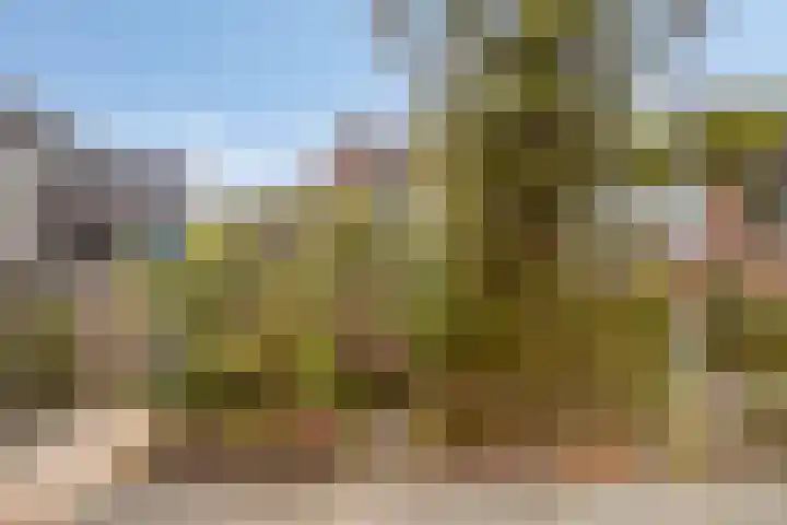 Doddendaal 157 Amsterdam thumbnail 21