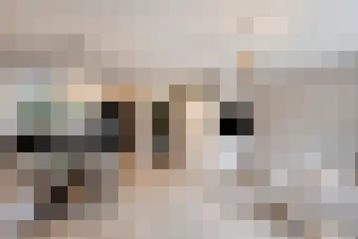 Doddendaal 21 Eindhoven thumbnail 12