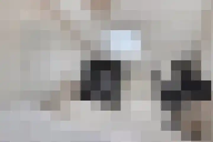 Doddendaal 21 Eindhoven thumbnail 34