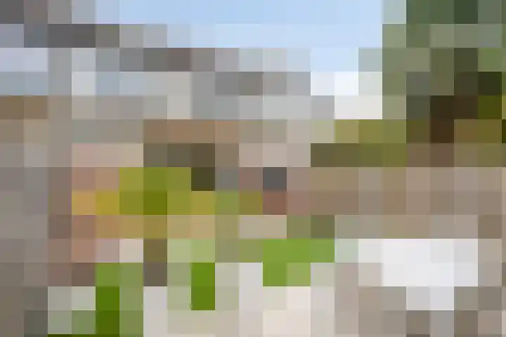 Doddendaal 21 Eindhoven thumbnail 39