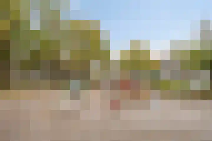 Doddendaal 21 Eindhoven thumbnail 42