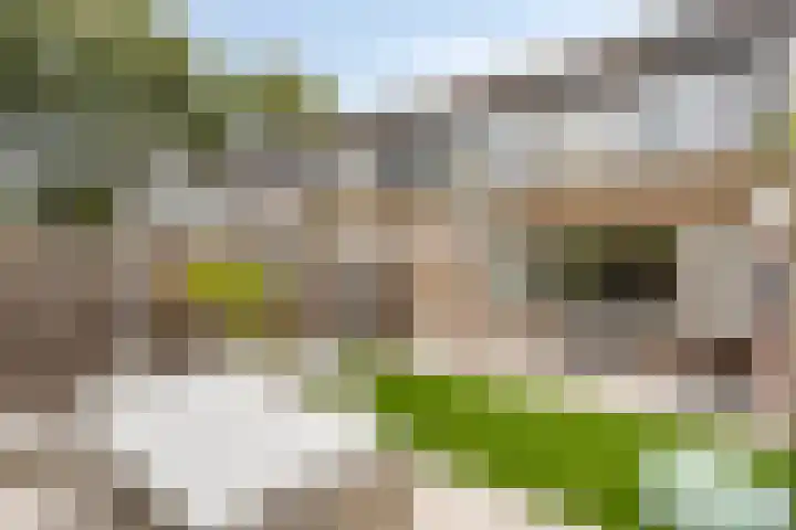 Doddendaal 21 Eindhoven thumbnail 5