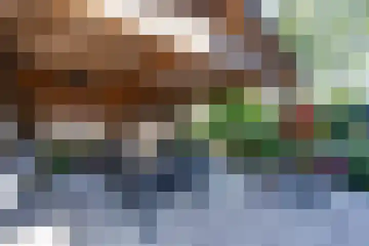Dodonaeuslaan 317 Zaandam thumbnail 29