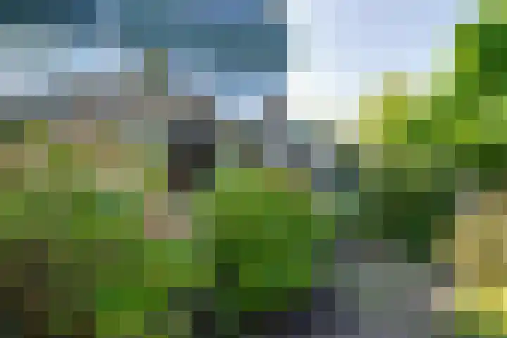 Dodonaeuslaan 317 Zaandam thumbnail 32
