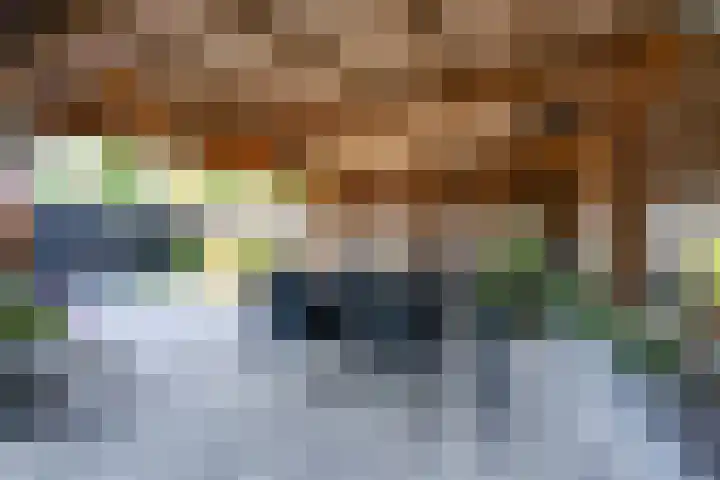 Dodonaeuslaan 317 Zaandam thumbnail 33