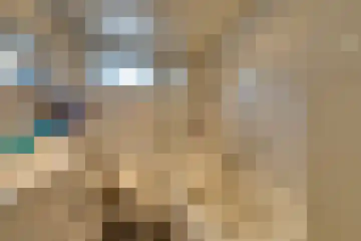 Dodonaeuslaan 317 Zaandam thumbnail 48