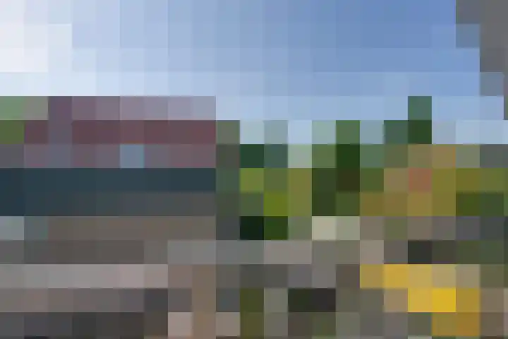 Dodonaeuslaan 317 Zaandam thumbnail 58