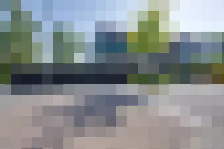 Dodonaeuslaan 317 Zaandam thumbnail 60