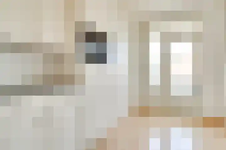 Doelakkerweg 44 Ameide thumbnail 10