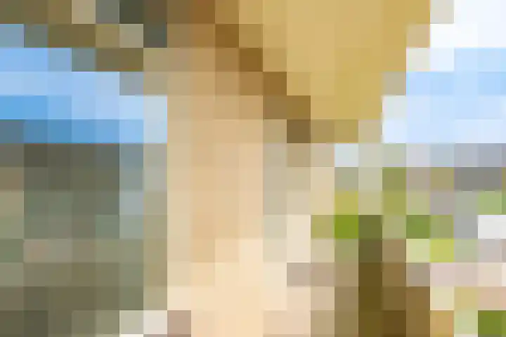 Doelakkerweg 44 Ameide thumbnail 21