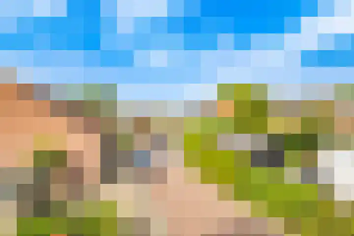 Doelakkerweg 44 Ameide thumbnail 30