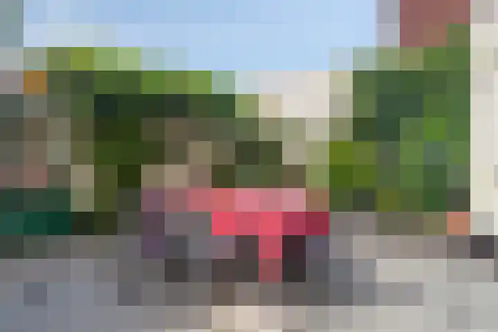 Doelen 12 Breda thumbnail 23