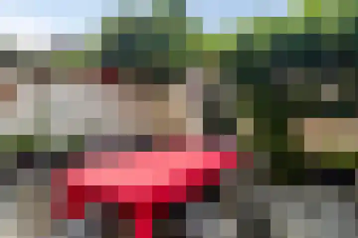 Doelen 12 Breda thumbnail 24