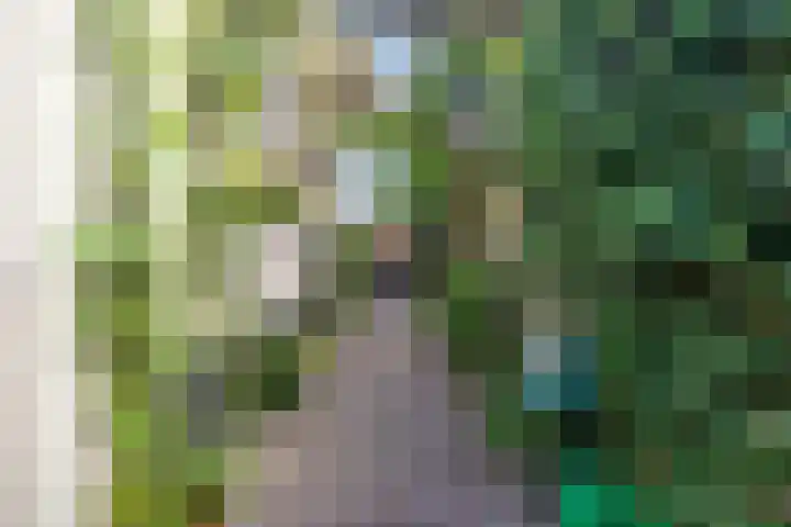 Doelen 12 Breda thumbnail 28